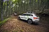 Waldwege gehörten auch zum Skoda Euro Trek 2018