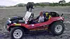 Buggy 1968 von Tom McAlveley