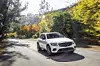 ap-21003-bild06_fahrbericht_mercedes_amg_glc_43-jpg.jpg