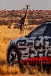 Audi e-tron in Afrika