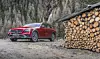ap-20628-bild03_fahrbericht_mercedes_e_220_d_all-terrain-jpg.jpg