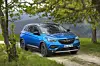 ap-21497-bild13_fahrbericht_opel_grandland_x_16_diesel-jpg.jpg