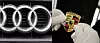Logos Audi und Porsche