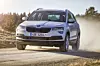 ap-21135-bild00_neuvorstellung_skoda_karoq-jpg.jpg