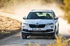 ap-21135-bild16_neuvorstellung_skoda_karoq-jpg.jpg