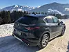 Alfa Romeo Stelvio 2.0 Turbo 16 - ansehnliches Heck