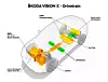 Antriebsstrang des Skoda Vision X