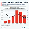 Grafik tesla absatz