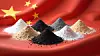 China's leadership in mining and processing of rare earth metals