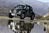 Faszination Beetle Bug.