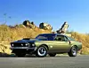 Der Ford Mustang Boss 429 hatte einen Motor mit 429 Kubikzoll (7.030 Liter) Hubraum.