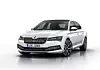 Skoda Superb 2019 - 160 kW / 218 PS