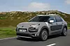 citroen-c4-cactus-rip-curl-18.jpg