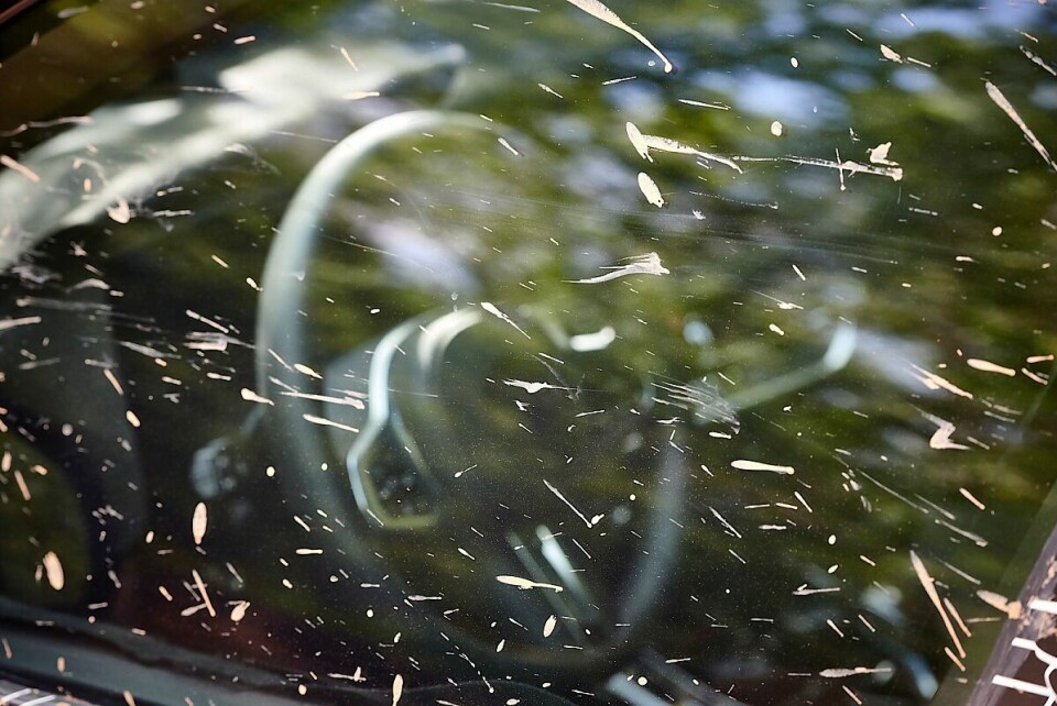 BMW X7: Geheimnis um den Innenraum